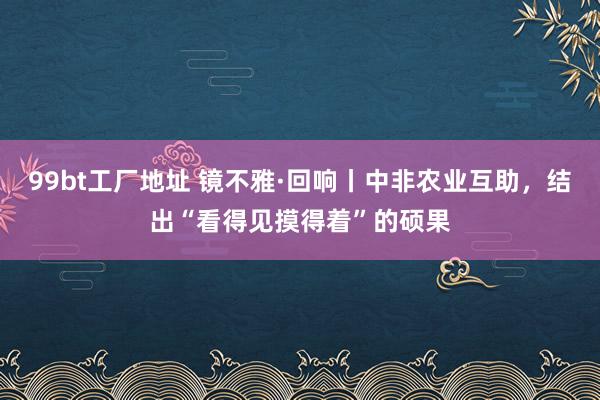 99bt工厂地址 镜不雅·回响丨中非农业互助，结出“看得见摸得着”的硕果