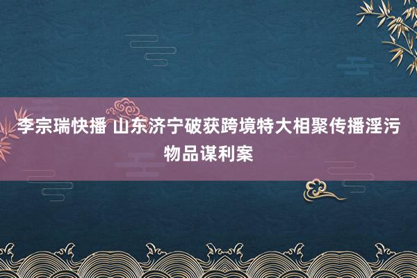 李宗瑞快播 山东济宁破获跨境特大相聚传播淫污物品谋利案